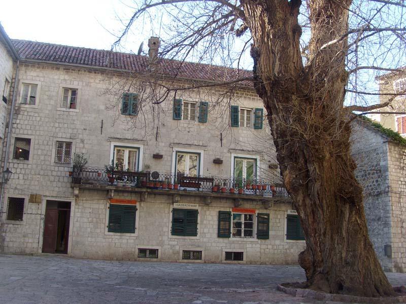 Guesthouse Nikoleta Kotor Exteriör bild